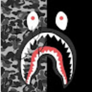 Meet your Posher, Ly - 09ss 906359